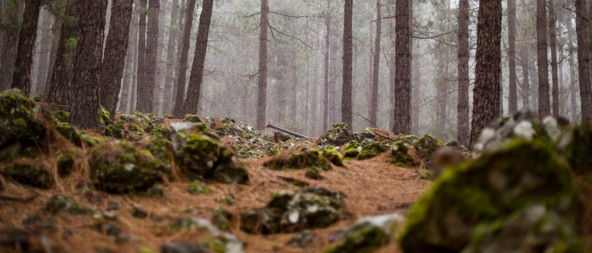¿A qué huele el otoño?