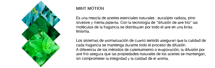 Fragancia Mint Motion para días de frío