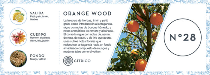 Fragancia Orange Wood